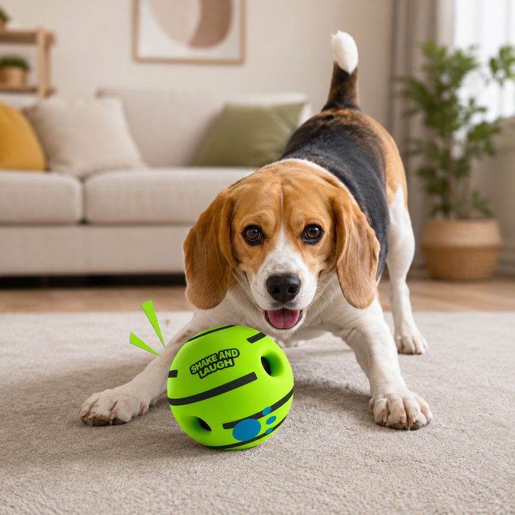 Dog toys